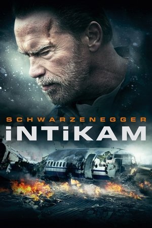 Image İntikam