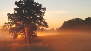 Les Ombres du cœur