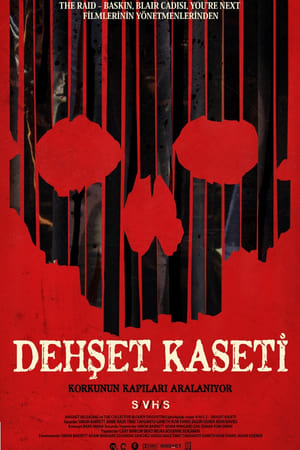 Dehşet Kaseti (2013)