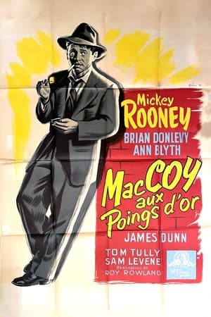 Image McCoy aux poings d'or