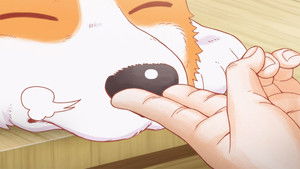 The Corgi and the Samurai: 1×21