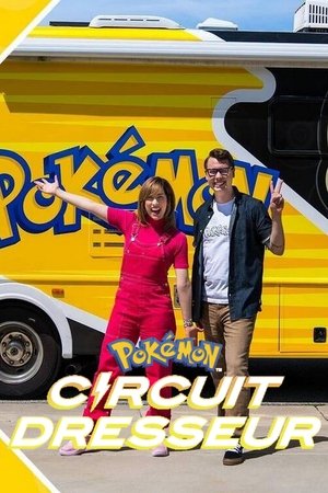 Affiche de Pokémon : Circuit Dresseur