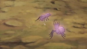 An Unexplained Hill Fire