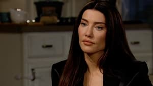 The Bold and the Beautiful: Season 36 Episode 134