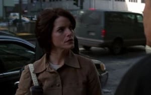 Law & Order Season 13 Episode 18