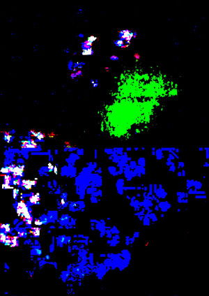 Gaze in the State of Confusion (2026)