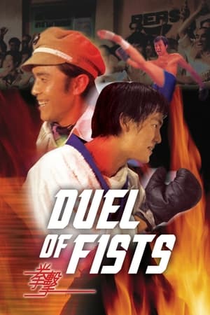 Poster Duel of Fists 1971