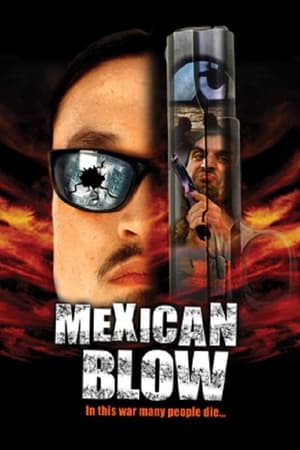 Poster Mexican Blow (2002)