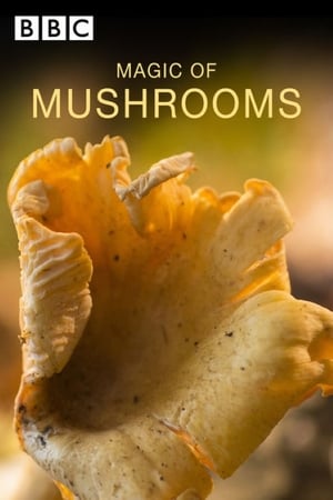 Poster The Magic of Mushrooms (2014)