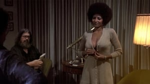 Coffy, la panthère noire de Harlem