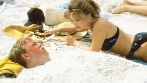 ฮอลิเดย์บวมส์ (1985) Summer Rental