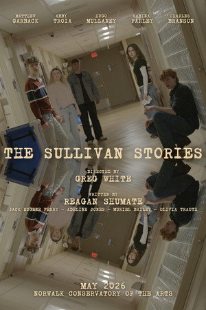 The Sullivan Stories