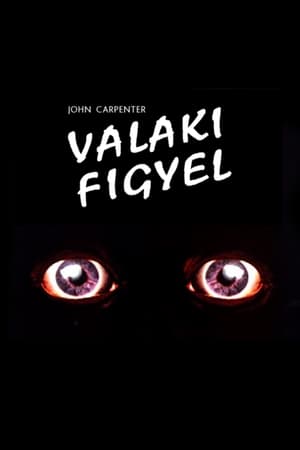 Valaki figyel