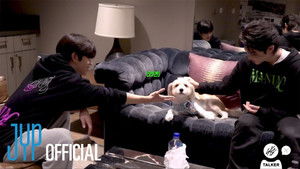 SKZ-TALKER: 5×5 {year} Online En Netflix