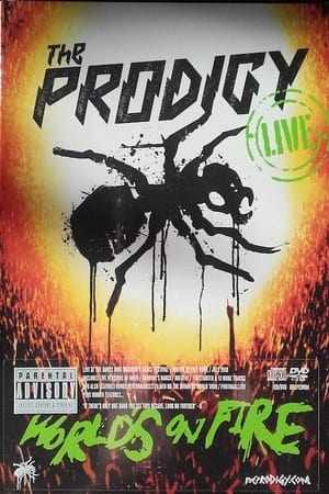 Poster The Prodigy, Live at Warriors Dance Festival 2010