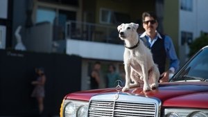 Desaparecido en Venice Beach