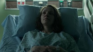 Ozark: 2×8