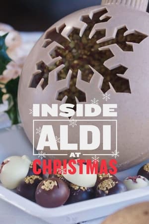 Poster Inside Aldi at Christmas 2019