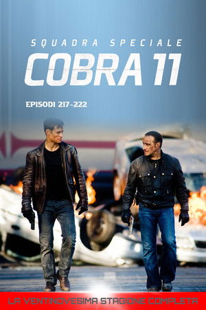 Squadra Speciale Cobra 11: Stagione 29