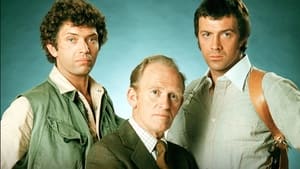 poster The Professionals