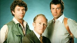 poster The Professionals