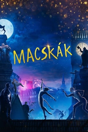 Poster Macskák 2019