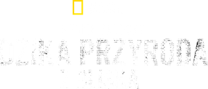 Animals Up Close with Bertie Gregory — Logos 7