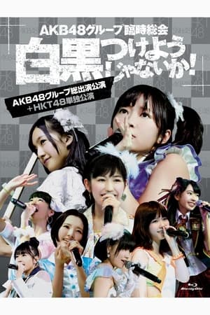Poster AKB48 Group Rinji Soukai - HKT48 Concert (2013)