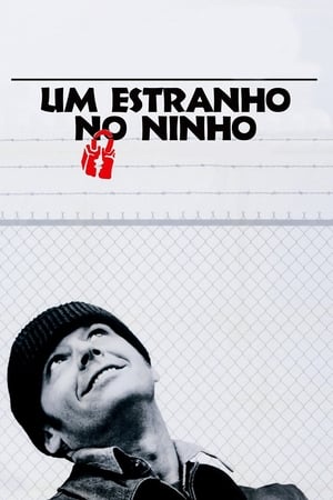 Poster Voando Sobre Um Ninho de Cucos 1975