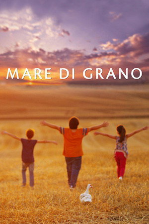 Mare di grano 5