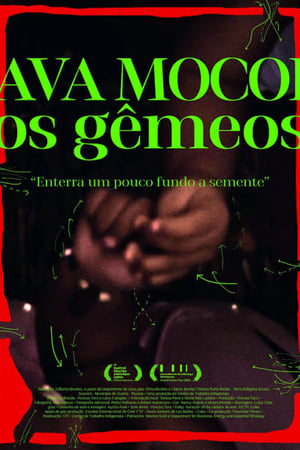 Image Ava Mocoi, Os Gêmeos