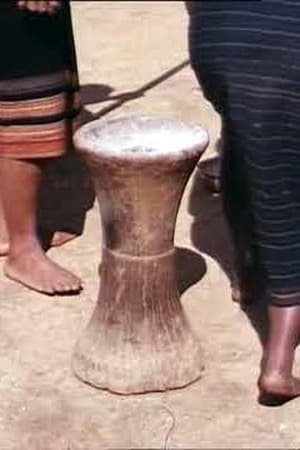 Essartage et cérémonies rituelles chez les Cau Maa’ (centre sud Vietnam)