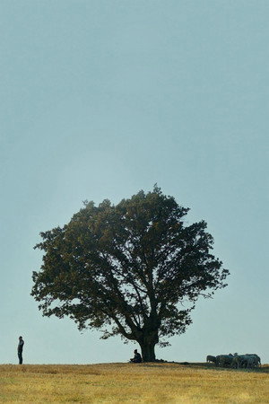 Commitment Hasan 31