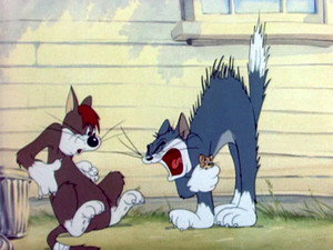 Sufferin' Cats