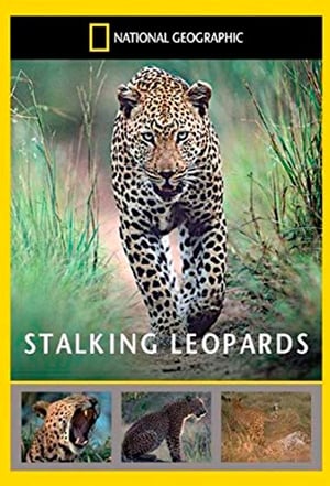 Poster Stalking Leopards 2002