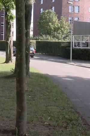 The Tree.