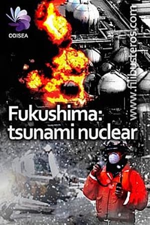 Image Fukushima: Tsunami Nuclear