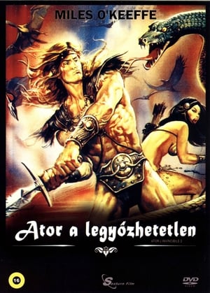 Poster Ator, a legyőzhetetlen 1982