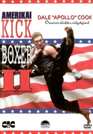 Image Amerikai kickboxer 2.
