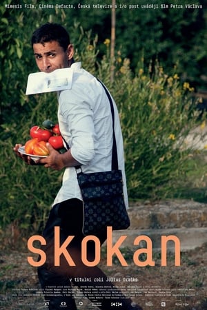 Poster Skokan (2017)