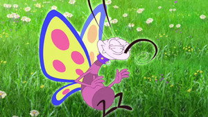 La course de papillons