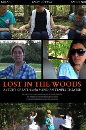 Poster Lost in the Woods 2017
