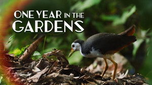 One Year in the Gardens S1E1