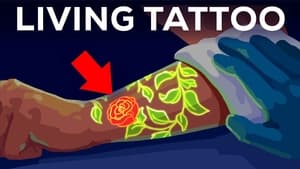 Kurzgesagt - In a Nutshell Your Tattoo is INSIDE Your Immune System. Literally