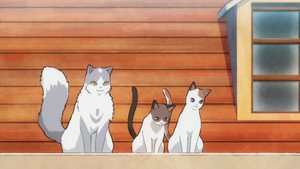 Neko to Ryuu Cap 12