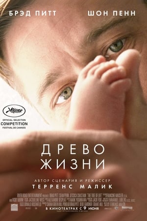 Poster Древо жизни 2011