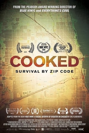 Cooked: Survival by Zip Code