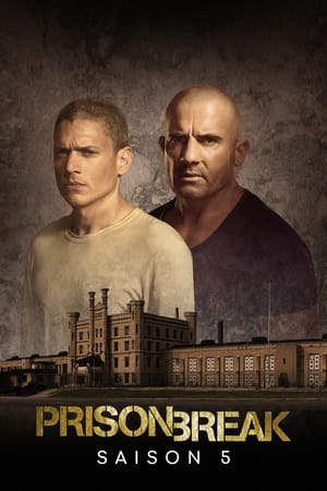 Prison Break - Saison 5 - poster n°1