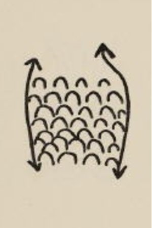 Projet Pour Un Poisson