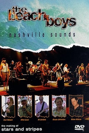 Poster The Beach Boys: Nashville Sounds 1996